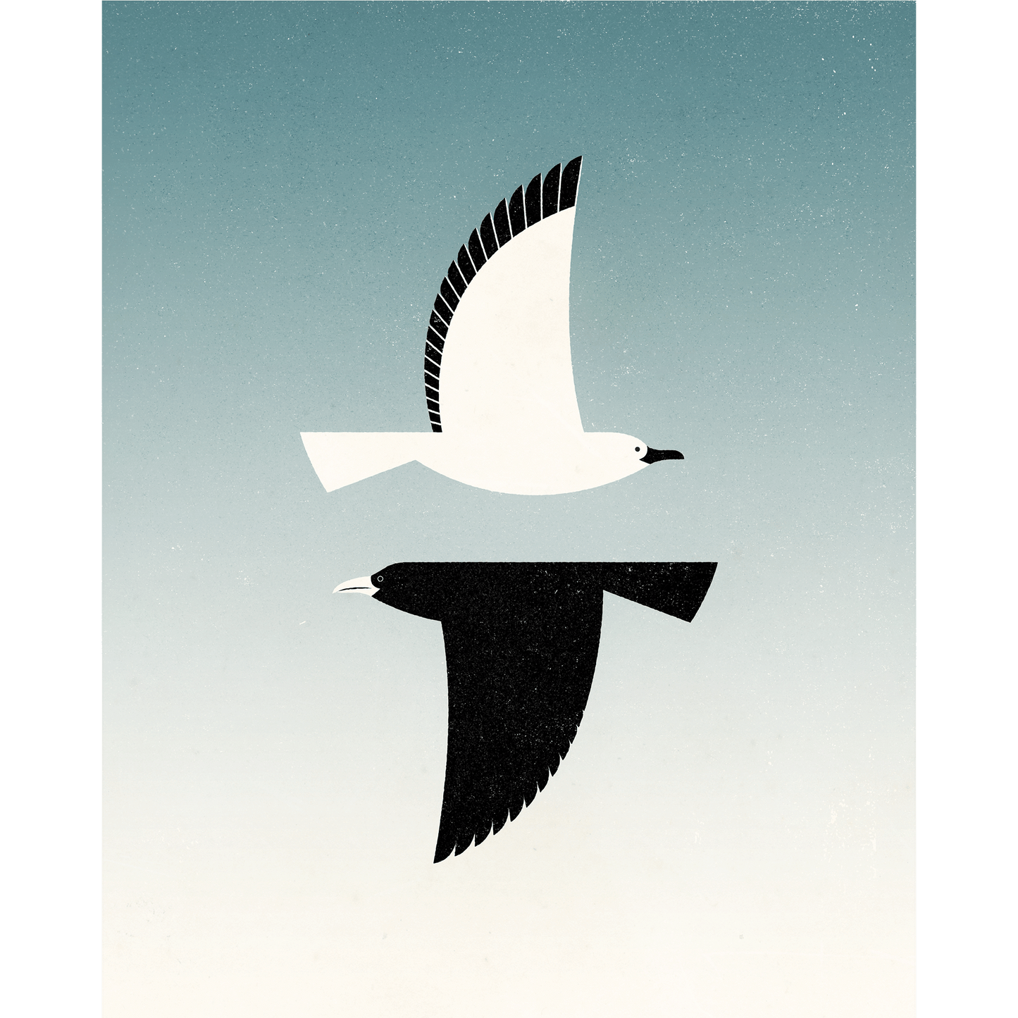 Beach Birds Postcard Set
