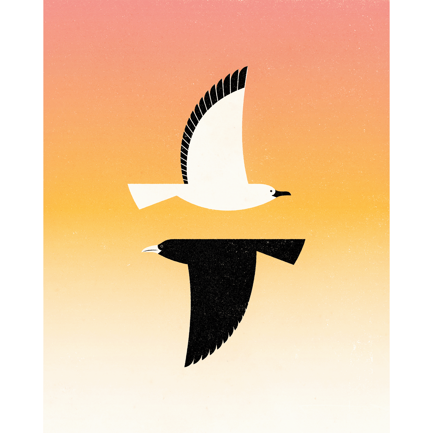 Beach Birds Postcard Set