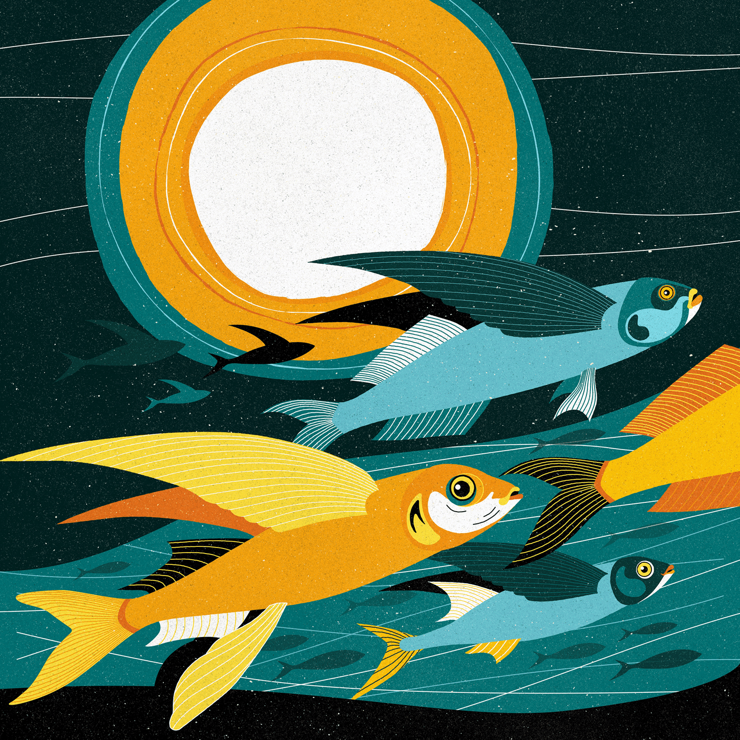 «Flying Fish»