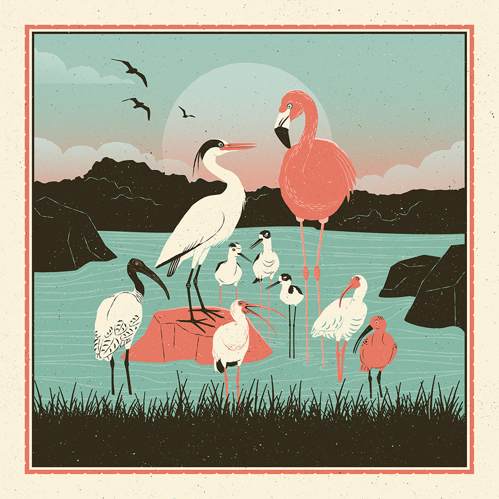 «Birds of a Feather»