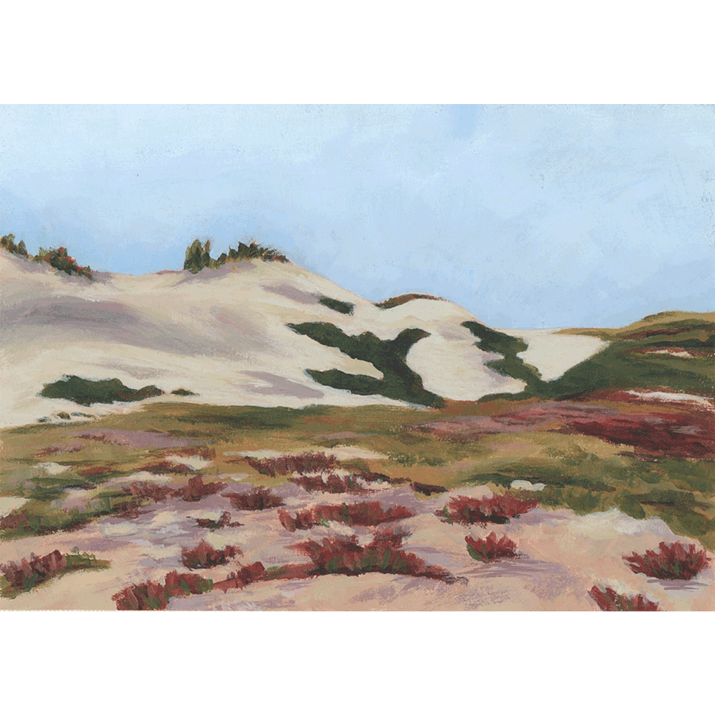 Summer Dunes