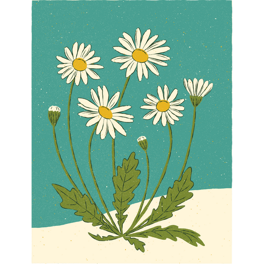 «Spring Flowers A»