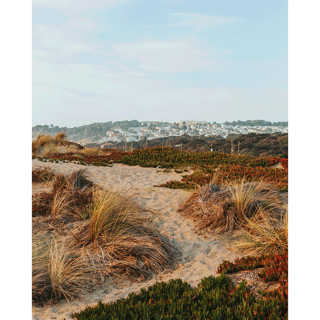 Dunes