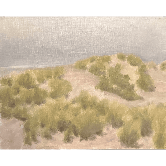 Dune Beach Grass